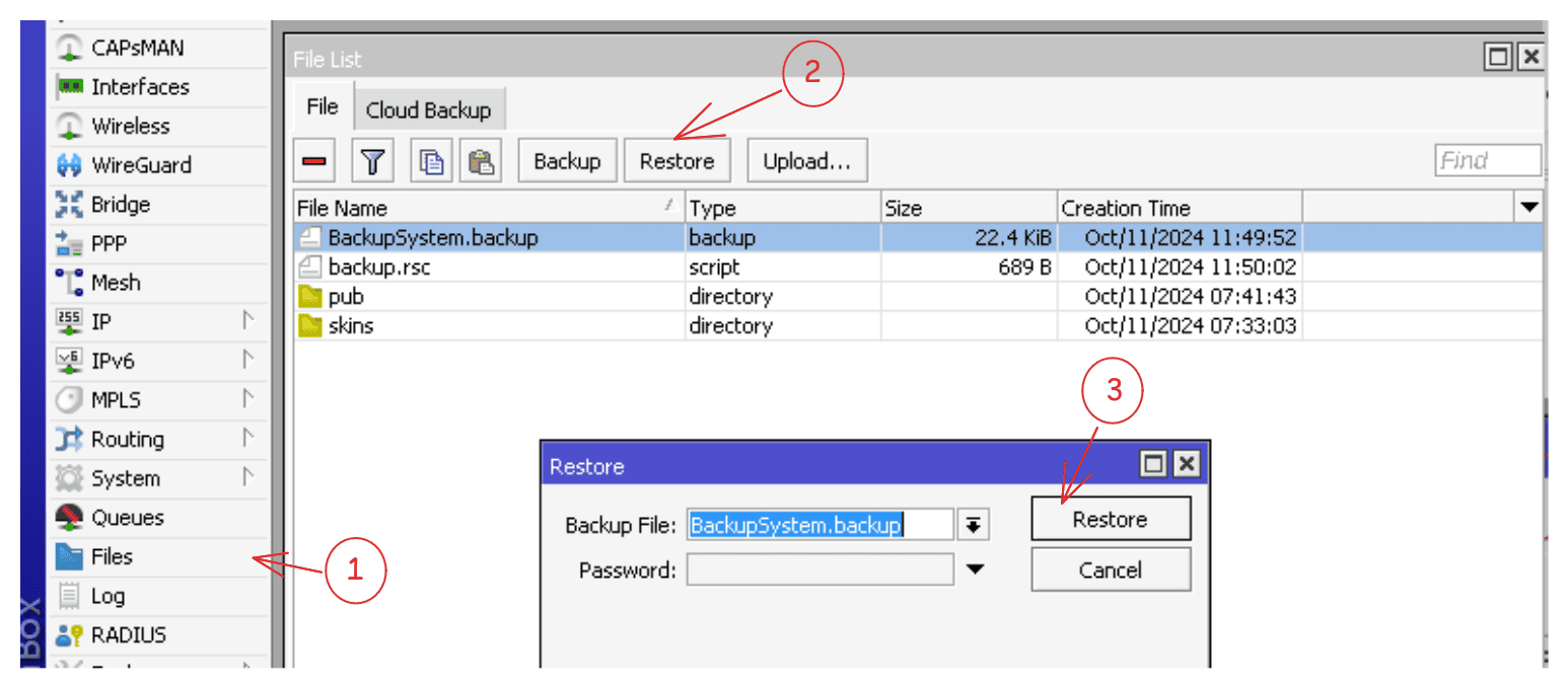 mikrotik_importsystem.png
